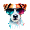 Jack Russell Terrier