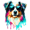 Australian Shepherd
