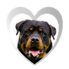 Dog Lovers - Dogs Heart - Rottweiler