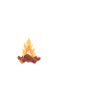 Camper