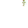 Guyana