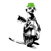 Suricate Guitariste Green Hat