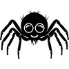 Spinne Spinnen Tiere