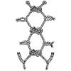 Karada Shibari