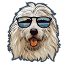 Maremmano Abruzzese Berger allemand