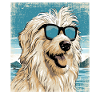 Maremmano Abruzzese Berger allemand