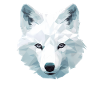 Arctic Fox