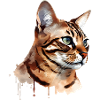 Cat Lover Bengal Cat