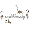 Erstklassig Lemur