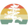 Bonsai Master Bonsai Enthusiast