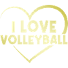 I love volleyball heart