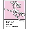 Kirschblüten Akiko