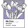 Tulpen Akiko