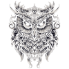 Cute owl with big eyes