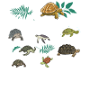 Sea Turtle Tortoise Easily