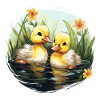 Two cute baby ducks in the pond
