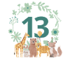 13th anniversary - animal birthday