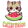 Cat with melon