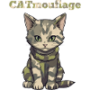 CATmouflage