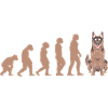 Evolution German Shepherd