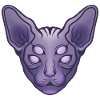 Sphynx Cat
