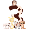 3rd anniversary - third anniversary animals