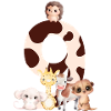 9th Anniversary - Ninth Anniversary Animals