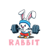 Bodybuilding Powerlifting Weightlifting Fitness