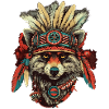 Indian Raccoon