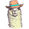 Funny hat llama