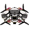 Drone Pilot