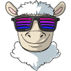 Sheep with coller sunglasses