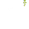 Ogoni