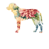 Kangal Schäferhund Hunderasse Floral