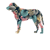 Kangal-schäferhund-hundehunderasse Mit