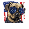 Pug Sunglasses Usa Flag