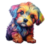 Doggy rainbow