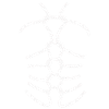 Shibari 1 white