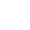 Spider spiders animals