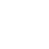Spider spiders animals
