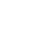 Araignée araignées animaux