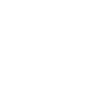 Spider spiders animals