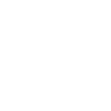 Spider spiders animals