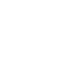 Spider spiders animals