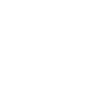 Spider spiders animals