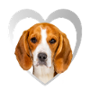 Dog Lovers - Dogs Heart - Beagle