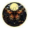 Moth butterfly insect at night