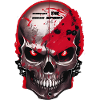Biker Skull