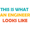 Sådan ser en ingeniør ud