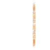 German Shepherd Us Flag